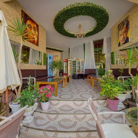 فندق Mena Palace 4*